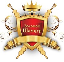 логотип золотой шампур